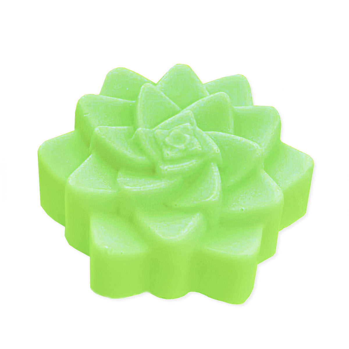 Lush Succulent Soap Bar