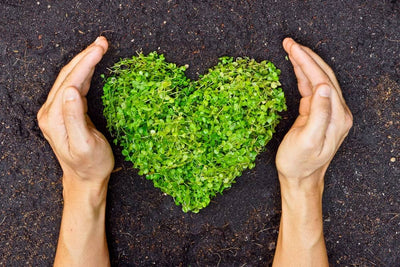 Let's Talk GREEN, Shall We?